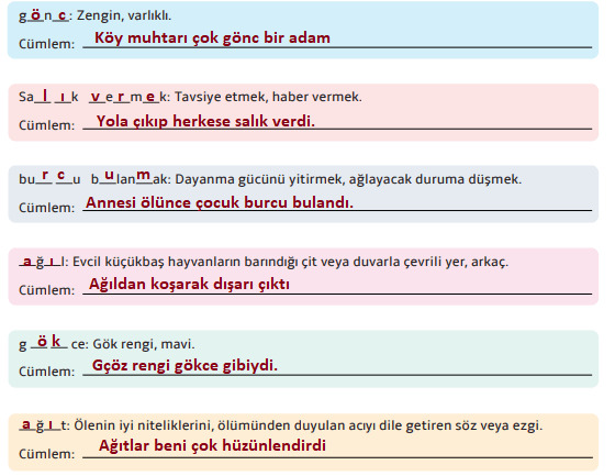 7. Sınıf Türkçe Ders Kitabı Sayfa 175 Cevapları MEB Yayınları