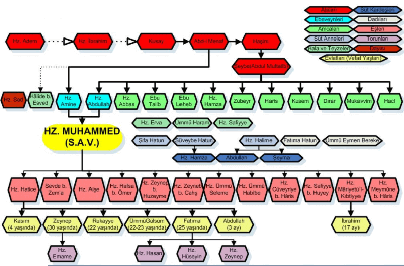 Hz Muhammed’in Amcalarının İsmi