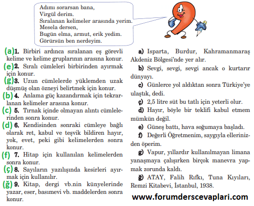5. Sınıf Türkçe Ders Kitabı Sayfa 31 Cevapları Anıttepe Yayınları