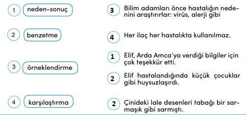 4. Sınıf Türkçe Ders Kitabı MEB Yayınları Sayfa 228 Ders Kitabı Cevapları