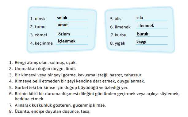 7. Sınıf Türkçe Ders Kitabı 20 Sayfa Cevapları MEB Yayınları