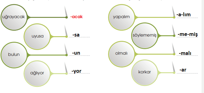 7. Sınıf Türkçe Ders Kitabı 21 Sayfa Cevapları MEB Yayınları 2.Kitap