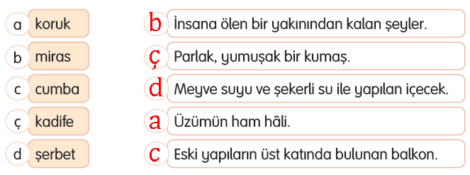 3. Sınıf Türkçe Ders Kitabı Sayfa 96 Cevapları