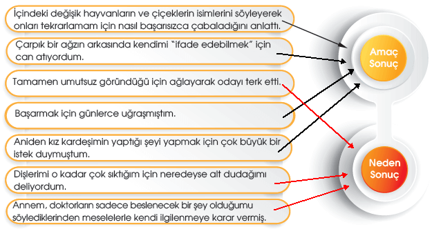 7. Sınıf Türkçe Ders Kitabı Sayfa 75 Cevapları