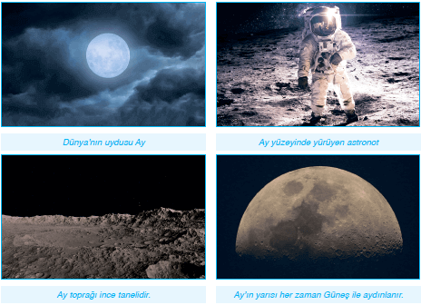 Ay'ın Yapısı ve Özellikleri Cevapları