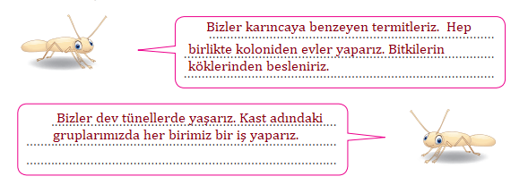 4. Sınıf Türkçe Ders Kitabı Sayfa 160 Cevapları Özgün Yayınları