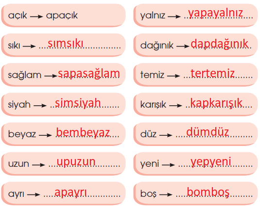4. Sınıf Türkçe Ders Kitabı Sayfa 225 Cevapları Özgün Yayınları