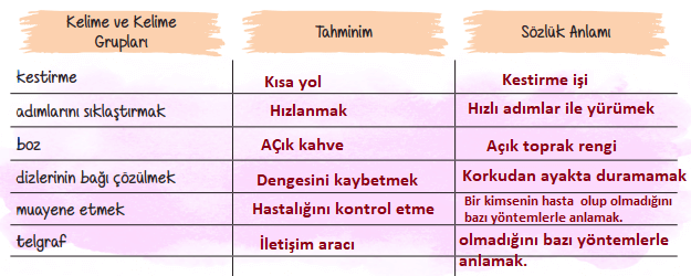 6. Sınıf Türkçe Ders Kitabı Sayfa 235 Cevapları Ata Yayınları