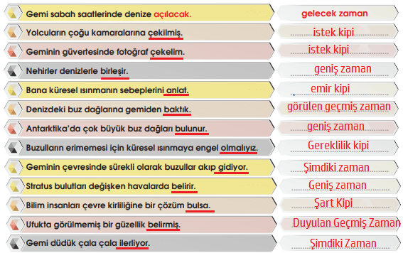 7. Sınıf Türkçe Ders Kitabı Sayfa 216 Cevapları MEB Yayınları