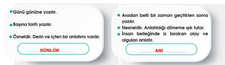 7. Sınıf Türkçe Ders Kitabı Sayfa 221 Cevapları MEB Yayınları