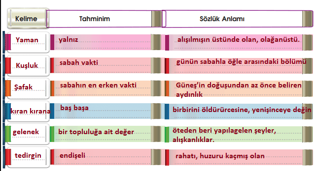 7. Sınıf Türkçe Ders Kitabı Sayfa 244 Cevapları MEB Yayınları