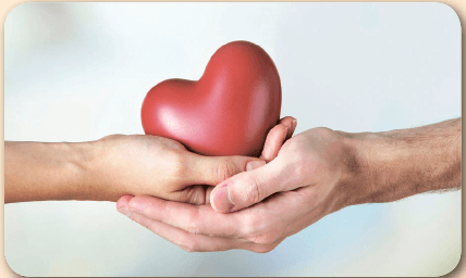 Organ Bağışı Metni Cevapları