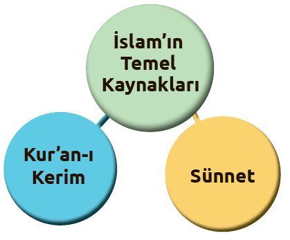 İslam Dininin Temel Kaynakları Cevapları