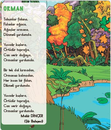 orman cevapları