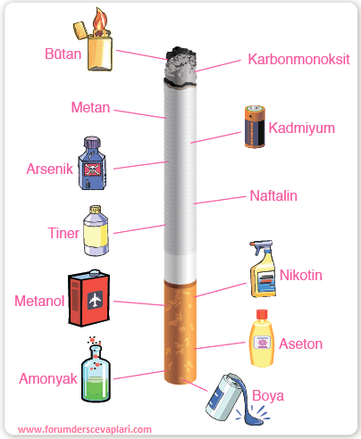 Sigara ve Alkolün Olumsuz Etkileri Cevapları