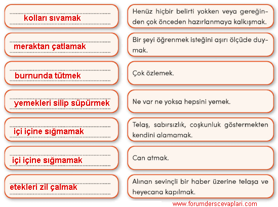 4. Sınıf Türkçe Çalışma Kitabı Sayfa 145 Cevapları MEB Yayınları