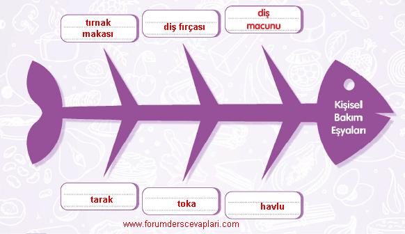 4. Sınıf Türkçe Çalışma Kitabı Sayfa 156 Cevapları MEB Yayınları