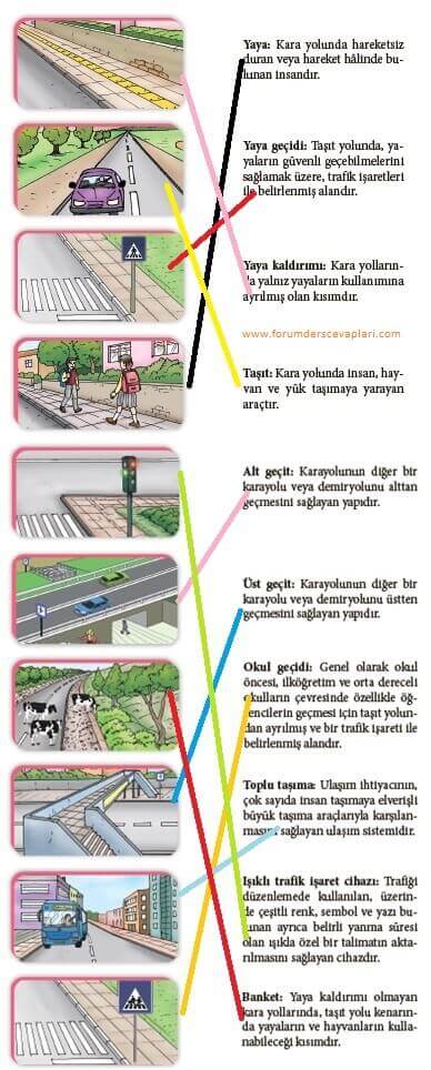 4. Sınıf Trafik Güvenliği Ders Kitabı 14. Sayfa Cevapları MEB Yayınları