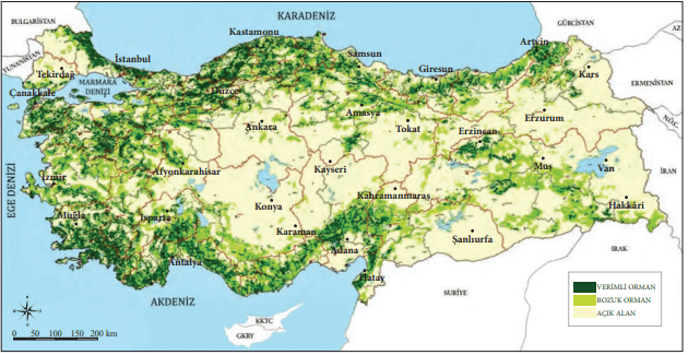 Karadeniz Kıyı Kesiminde Ormanların Geniş Yer Kaplaması Bölgede Hangi Sanayi Kollarının Gelişmesini Sağlamıştır