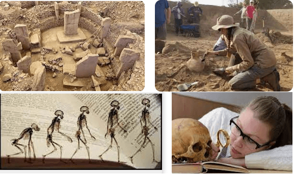 Antropoloji ve Arkeoloji Gibi Bilimlerin Geçmişi Aydınlatmadaki Rolleri Nelerdir
