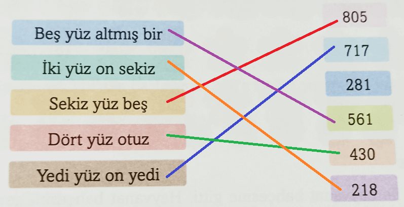 3. Sınıf Matematik Ders Kitabı Sayfa 17 Cevapları Ekoyay Yayıncılık1