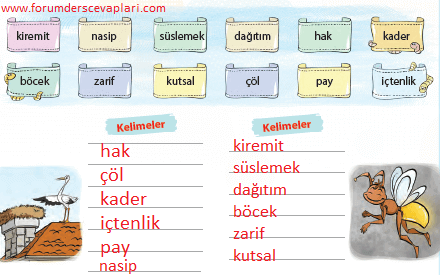 4. Sınıf Türkçe Ders Kitabı Sayfa 162 Cevapları KOZA Yayınları