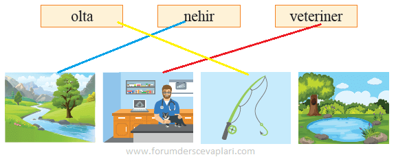 2. Sınıf Türkçe Ders Kitabı Sayfa 15 Cevapları