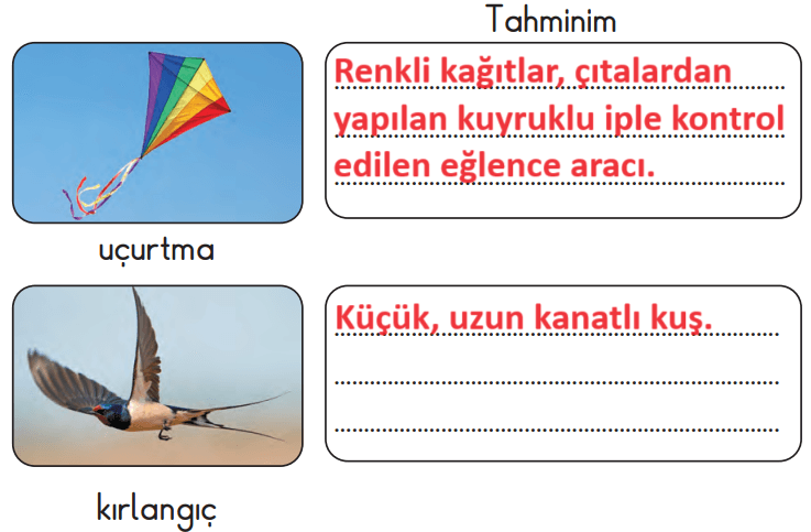 2. Sınıf Türkçe Ders Kitabı Sayfa 34 Cevapları MEB Yayınları