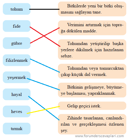 2. Sınıf Türkçe Ders Kitabı Sayfa 34 Cevapları