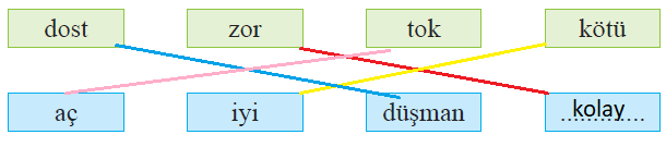 2. Sınıf Türkçe Ders Kitabı Sayfa 48 Cevapları Bilim ve Kültür Yayınları