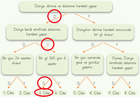 4. Sınıf Fen Bilimleri Ders Kitabı Sayfa 37 Cevapları MEB Yayınları