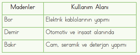 4. Sınıf Fen Bilimleri Ders Kitabı Sayfa 42 Cevapları MEB Yayınları