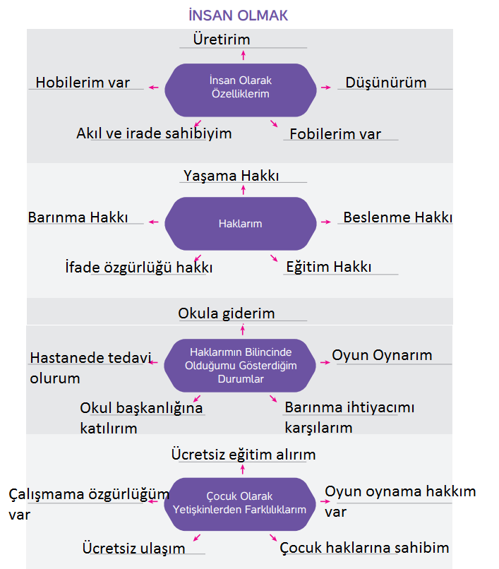 4. Sınıf İnsan Hakları Ders Kitabı Sayfa 21 Cevapları Hecce Yayıncılık