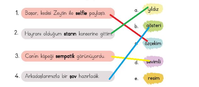 4. Sınıf Türkçe Ders Kitabı Sayfa 15 Cevapları MEB Yayınları