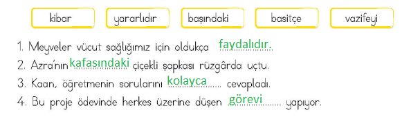 4. Sınıf Türkçe Ders Kitabı Sayfa 27 Cevapları MEB Yayınları