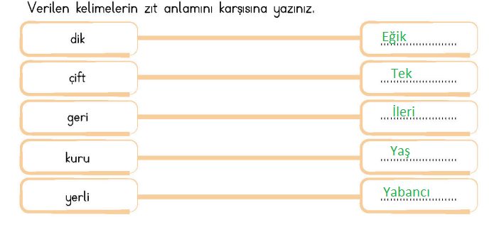 4. Sınıf Türkçe Ders Kitabı Sayfa 33 Cevapları MEB Yayınları