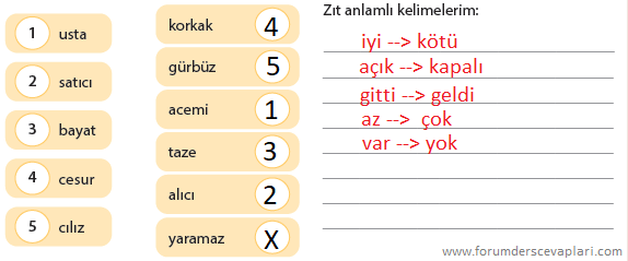 5. Sınıf Türkçe Ders Kitabı Sayfa 27 Cevapları KOZA Yayınları