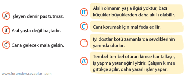 5. Sınıf Türkçe Ders Kitabı Sayfa 29 Cevapları KOZA Yayınları