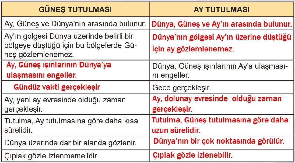 6. Sınıf Fen Bilimleri Ders Kitabı Sayfa 31 Cevapları MEB Yayınları