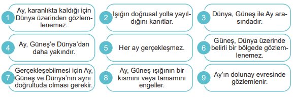 6. Sınıf Fen Bilimleri Ders Kitabı Sayfa 37 Cevapları MEB Yayınları