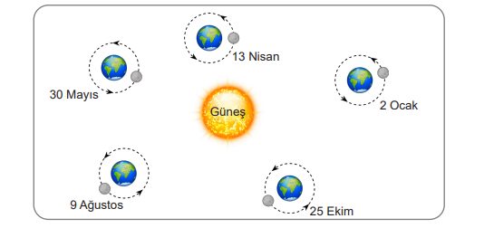 6. Sınıf Fen Bilimleri Ders Kitabı Sayfa 38 Cevapları MEB Yayınları