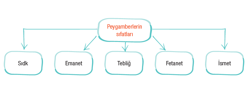 Peygamberlerin Özellikleri ve Görevleri Cevapları