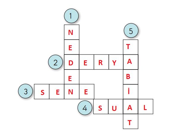 2. Sınıf Türkçe Ders Kitabı Sayfa 111 Cevapları MEB Yayınları