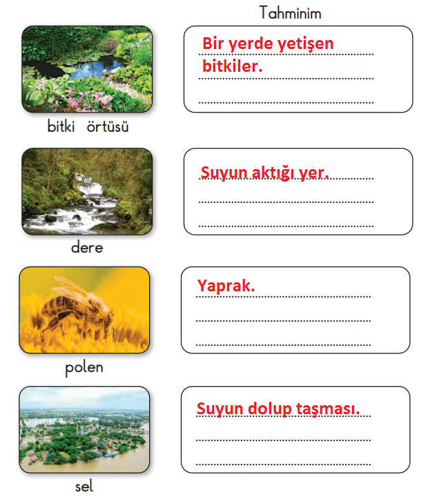 2. Sınıf Türkçe Ders Kitabı Sayfa 111-113-114-115 Cevapları MEB Yayınları