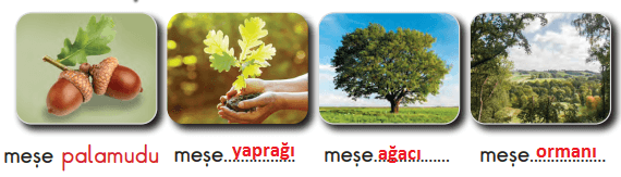 2. Sınıf Türkçe Ders Kitabı Sayfa 125 Cevapları MEB Yayınları