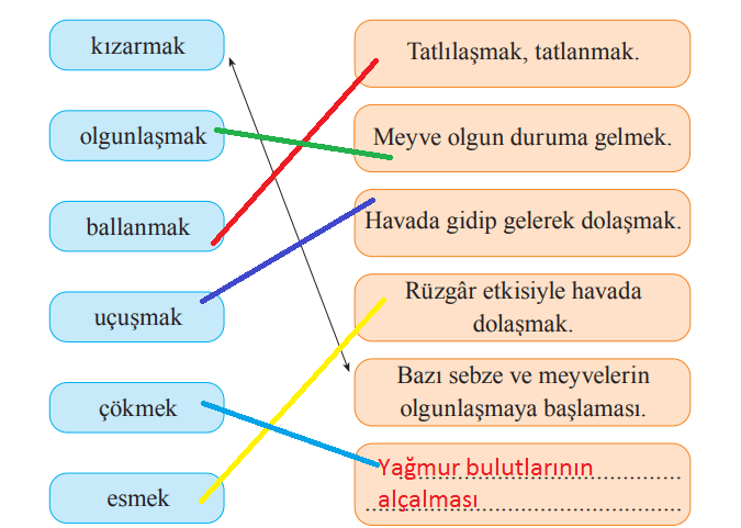 2. Sınıf Türkçe Ders Kitabı Sayfa 75 Cevapları Bilim ve Kültür Yayınları