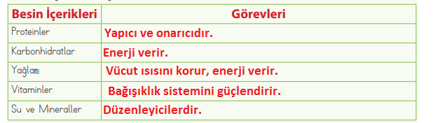 4. Sınıf Fen Bilimleri Ders Kitabı Sayfa 54 Cevapları MEB Yayınları