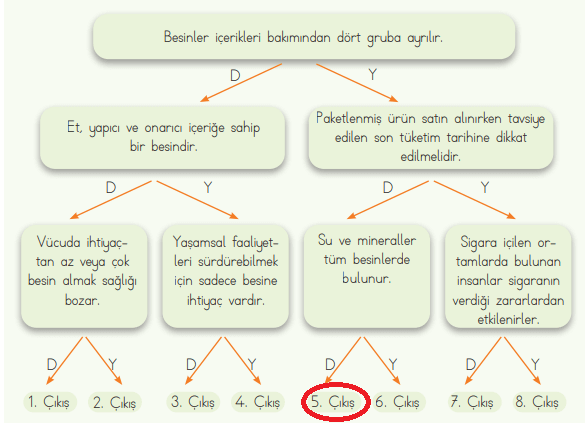 4. Sınıf Fen Bilimleri Ders Kitabı Sayfa 67 Cevapları MEB Yayınları