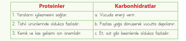 4. Sınıf Fen Bilimleri Ders Kitabı Sayfa 71 Cevapları MEB Yayınları