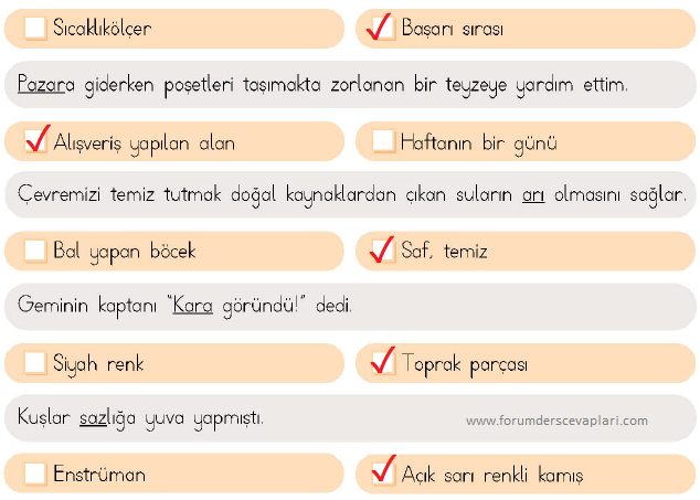 4. Sınıf Türkçe Ders Kitabı Sayfa 49 Cevapları